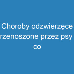 Choroby odzwierzęce przenoszone przez psy – co trzeba wiedzieć?