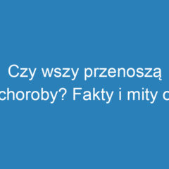 Czy wszy przenoszą choroby? Fakty i mity o zagrożeniach zdrowotnych