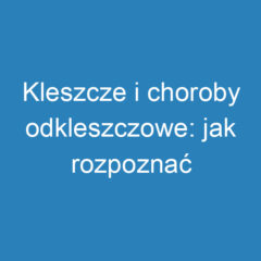 Kleszcze i choroby odkleszczowe: jak rozpoznać objawy i profilaktyka