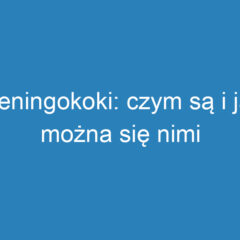 Meningokoki: czym są i jak można się nimi zarazić?