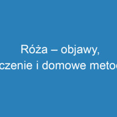 Róża – objawy, leczenie i domowe metody wsparcia terapii