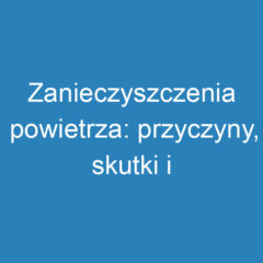 Zanieczyszczenia powietrza: przyczyny, skutki i ochrona zdrowia