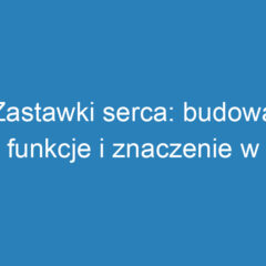 Zastawki serca: budowa, funkcje i znaczenie w krążeniu